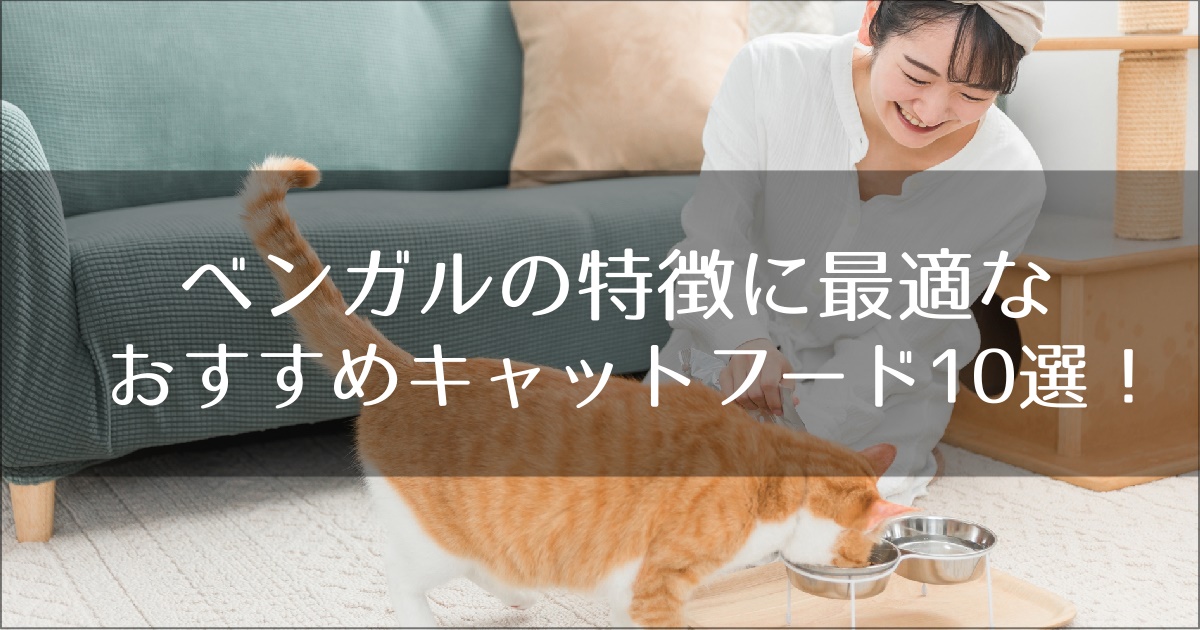 ベンガルにおすすめのキャットフード