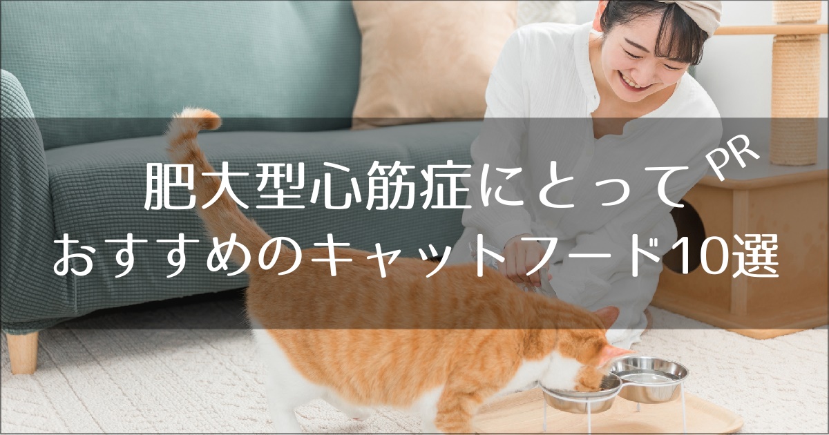 心臓病におすすめのキャットフード