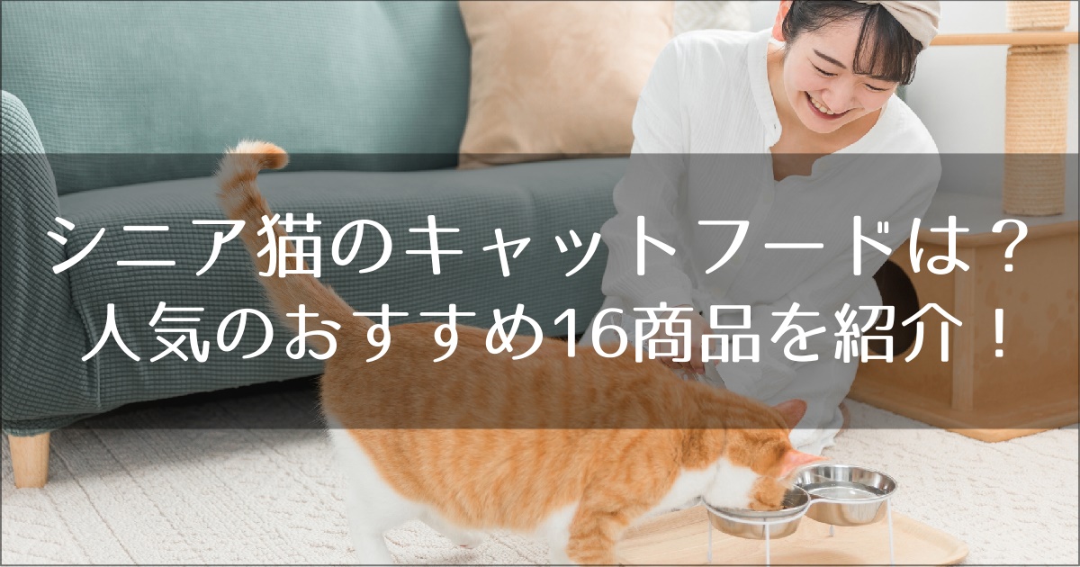 シニア猫におすすめのキャットフード