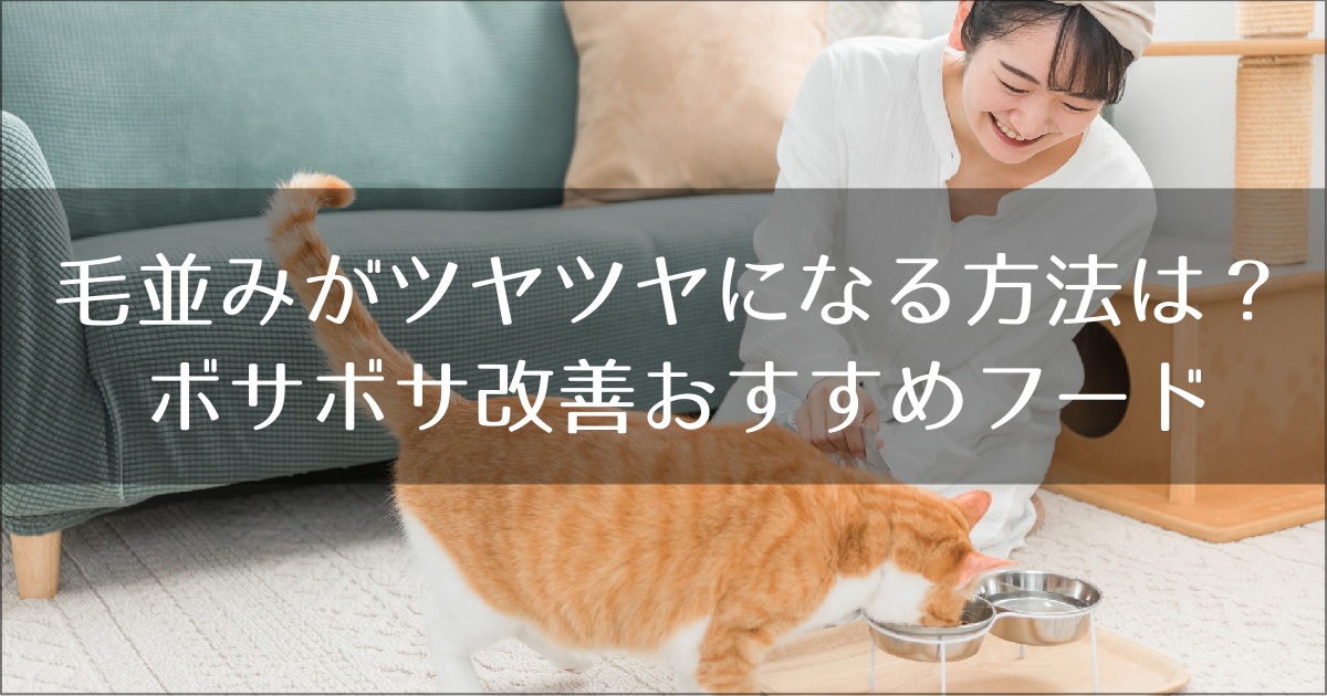 毛並みがツヤツヤになるキャットフード