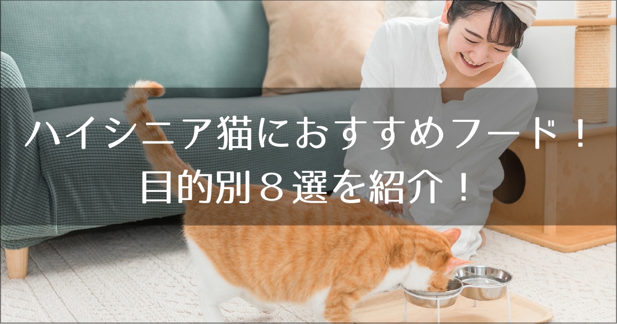 ハイシニア猫におすすめのキャットフード
