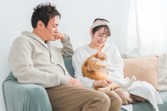 飼い主さん