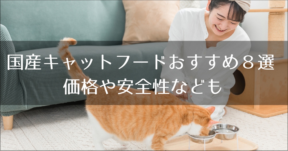 国産のおすすめキャットフード
