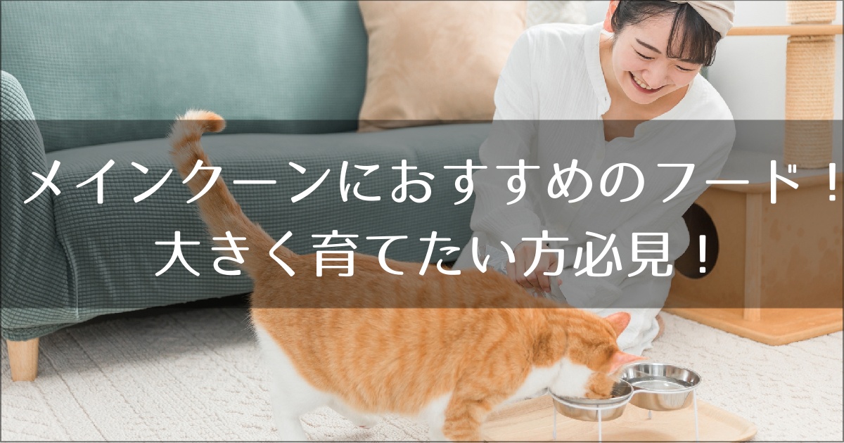 メインクーンにおすすめのキャットフード