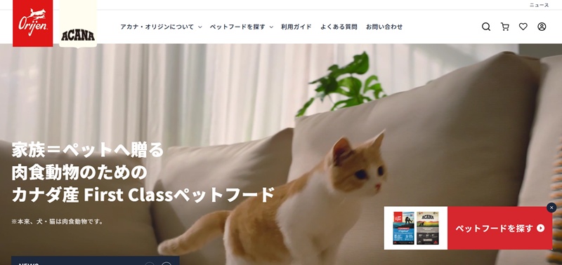 オリジン
