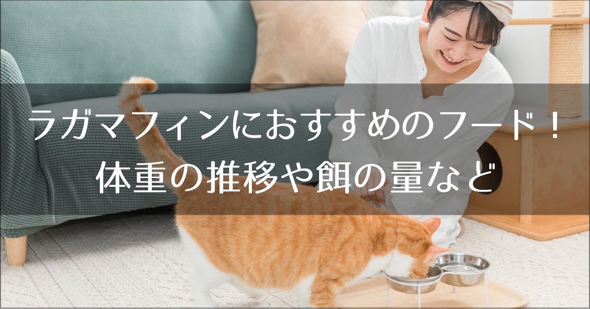 ラガマフィンにおすすめのキャットフード