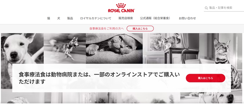 ロイヤルカナン