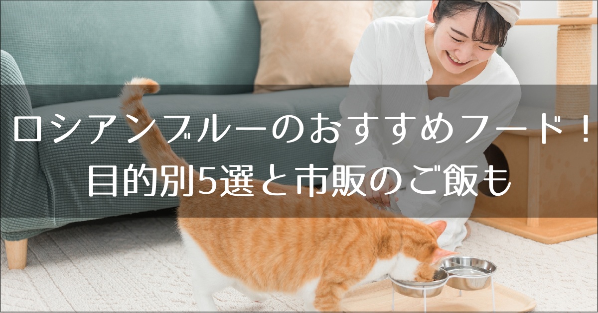 ロシアンブルーにおすすめおキャットフード