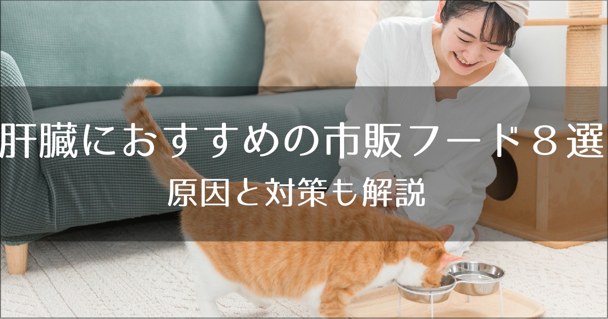 肝臓におすすめのキャットフード