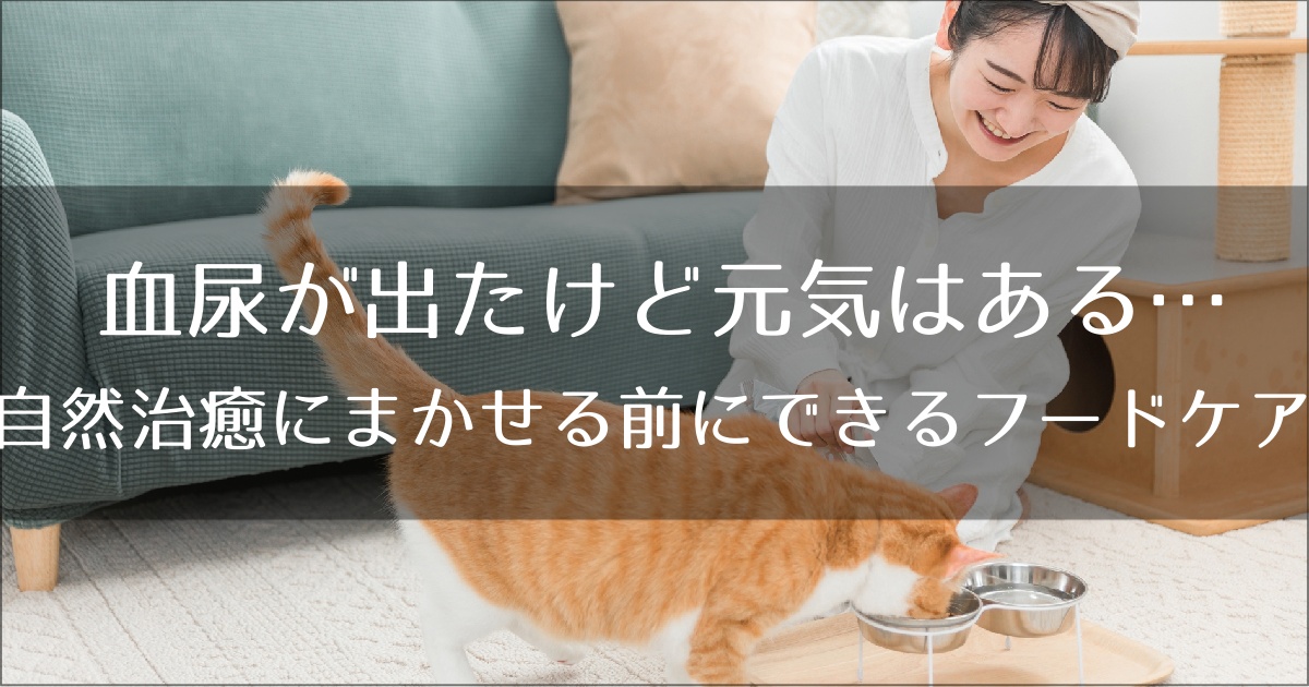 血尿のフードケア