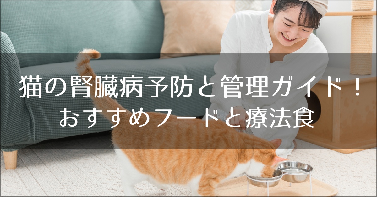 腎臓病予防と管理