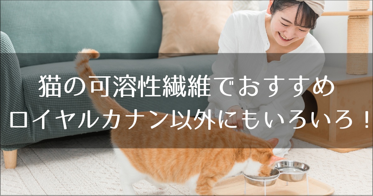 猫の可溶性繊維