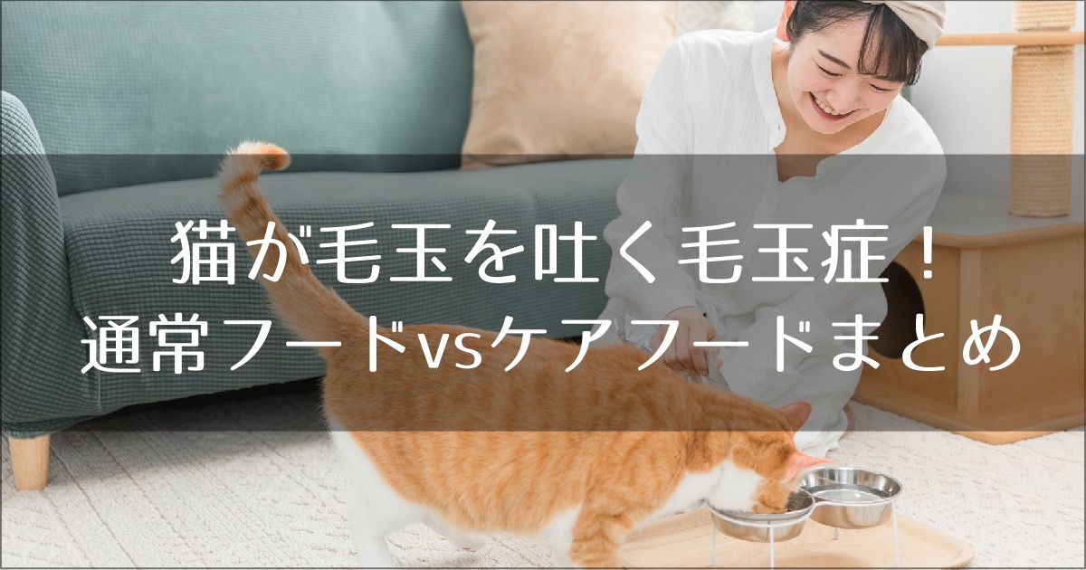 猫の毛玉対策フードまとめ