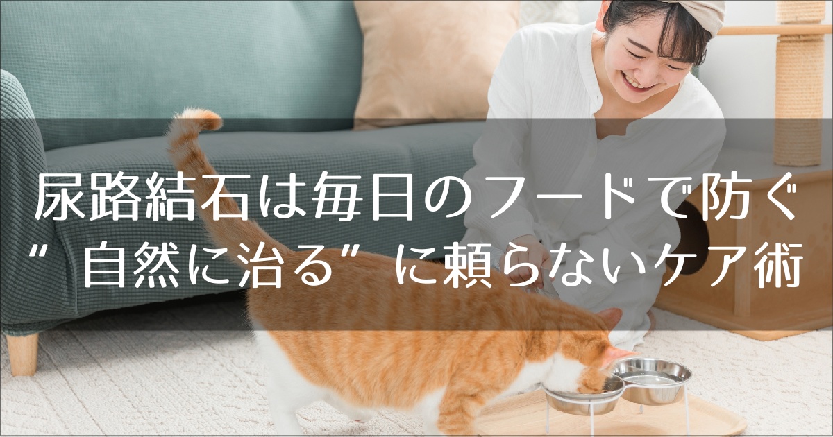 尿路結石におすすめのフード