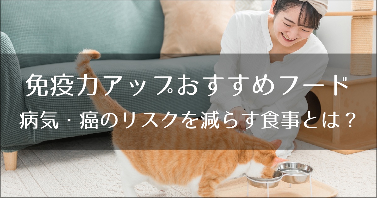 免疫力アップのおすすめフード