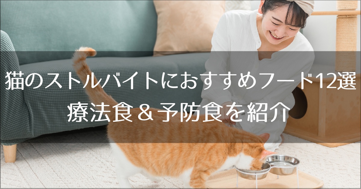 猫のストルバイトケアにおすすめのフード