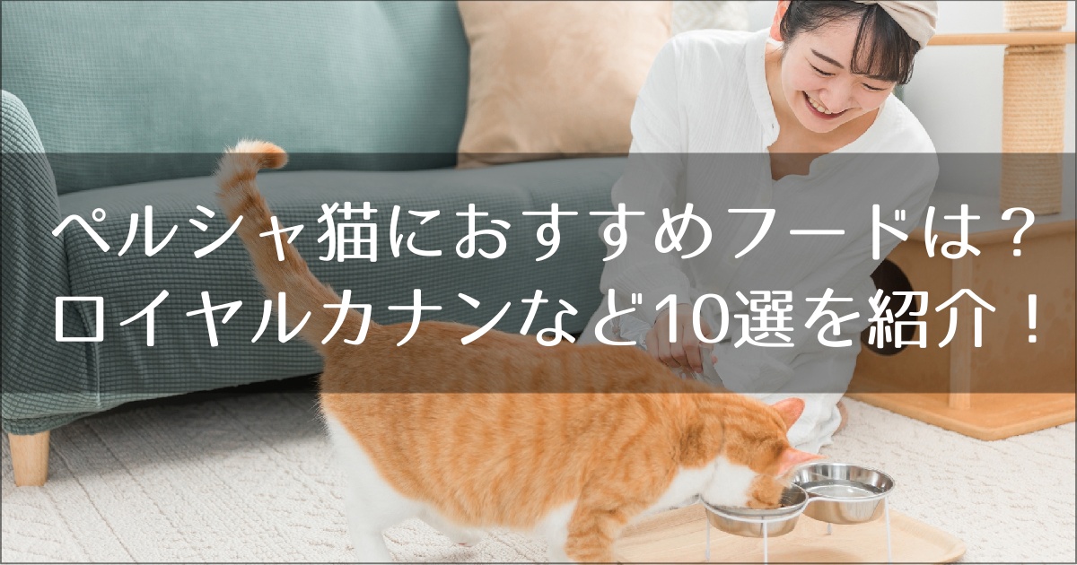 ペルシャ猫におすすめフード10選
